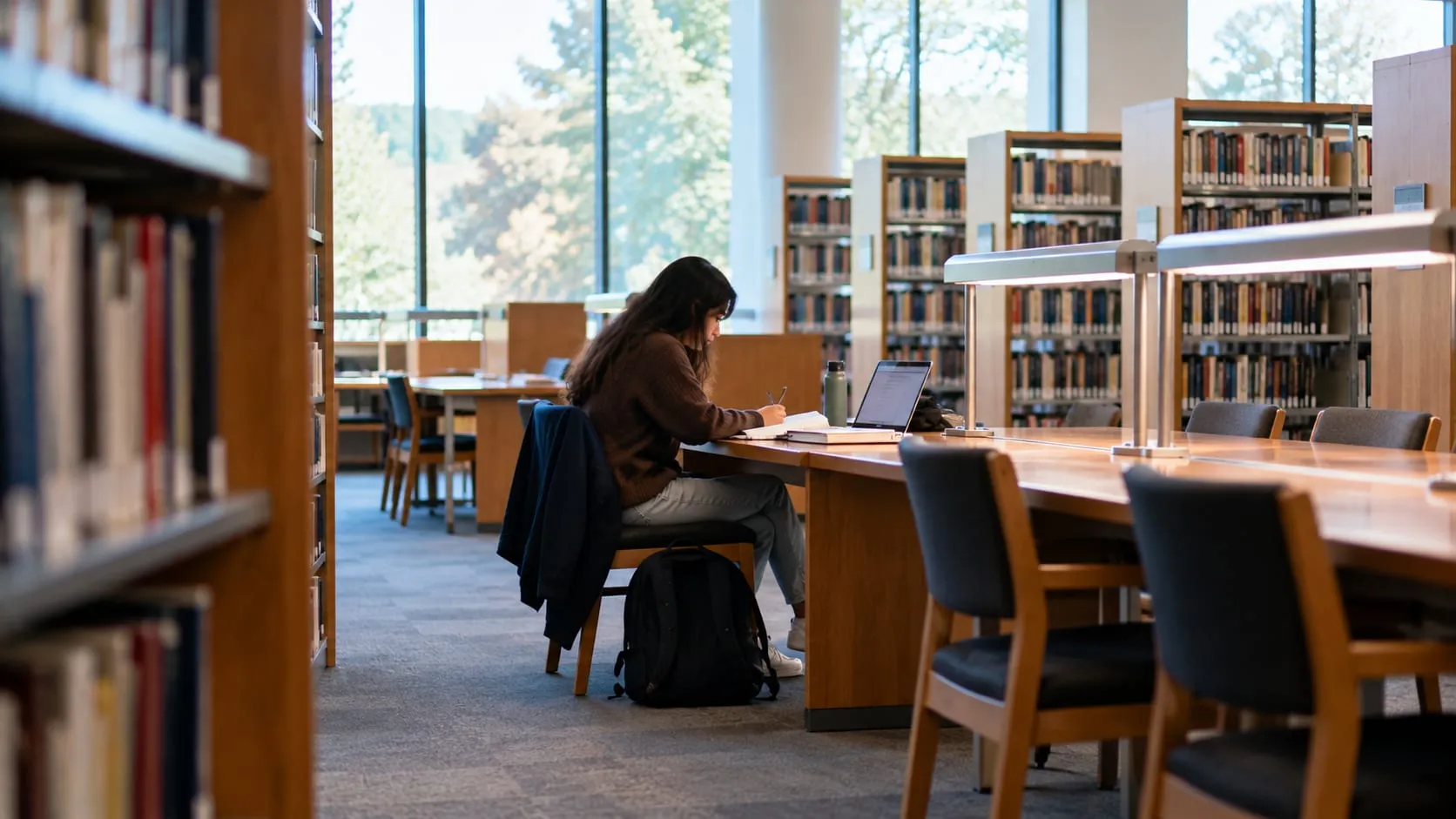 A student working alone in a library